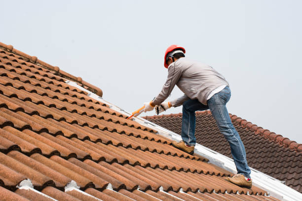 Best Roof Ventilation Installation  in Brewster, WA